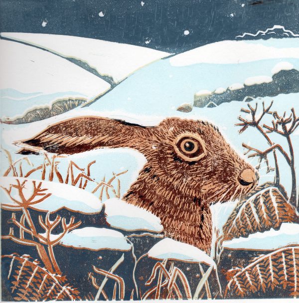 Hare in Snow