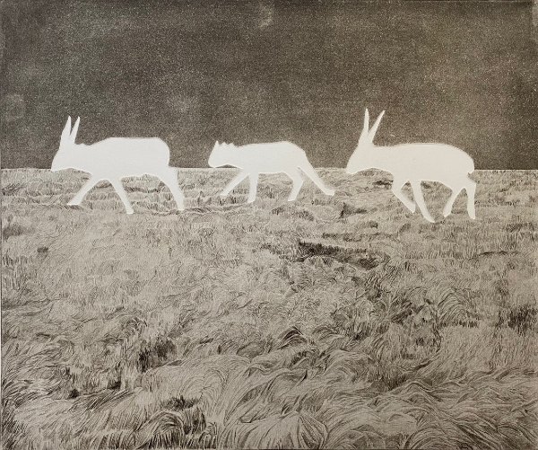 Steppe Change