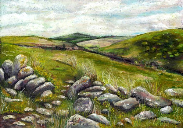 Old Stone Wall near Sandy Hole, Dartmoor