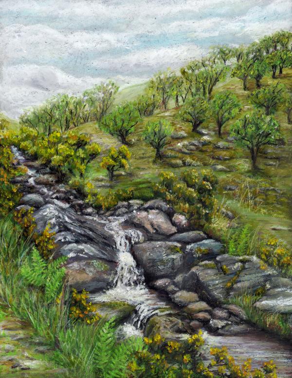 Red-a-Ven Brook, Dartmoor