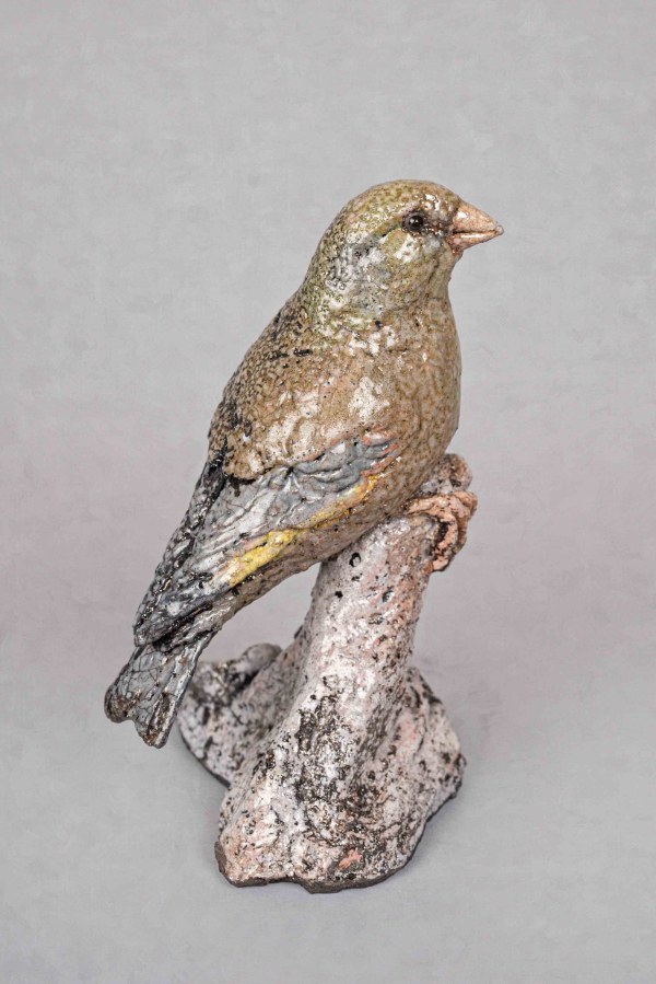 Greenfinch