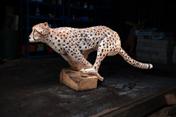 Hot Pursuit (Cheetah)