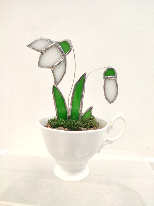 Teacup Snowdrops 