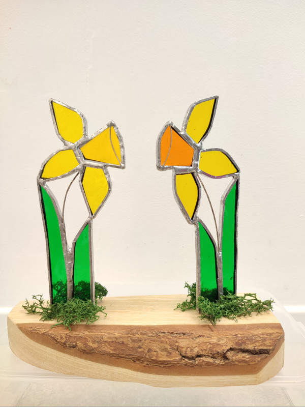 Springtime Daffodils