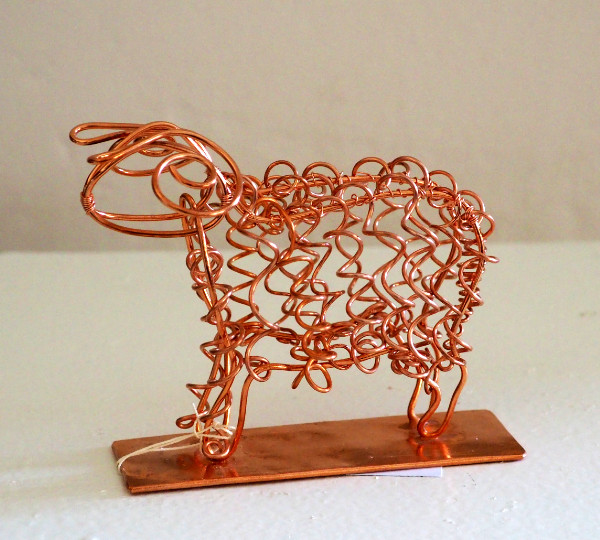 Sheep