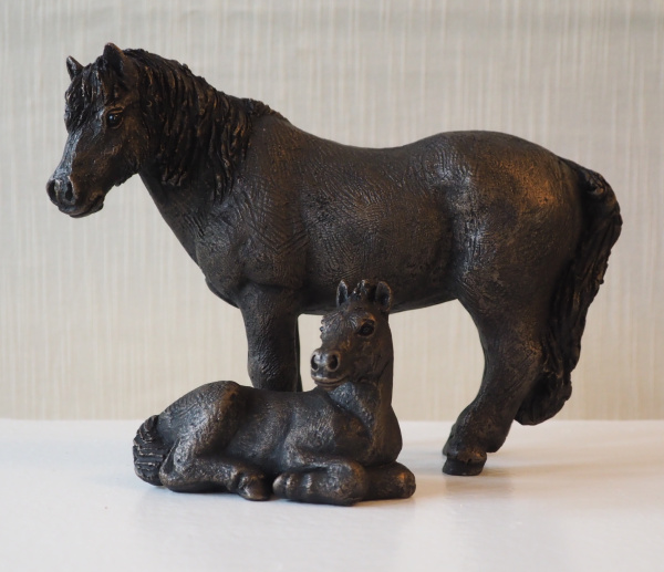 Pony and Foal