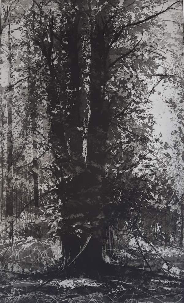 Clifford Woods I
