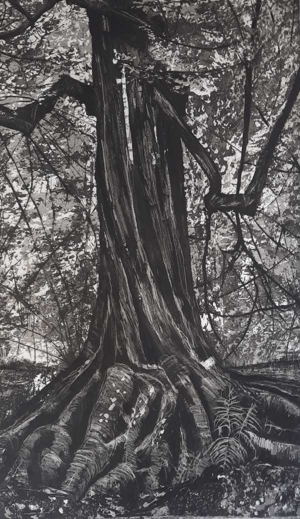 Clifford Woods II