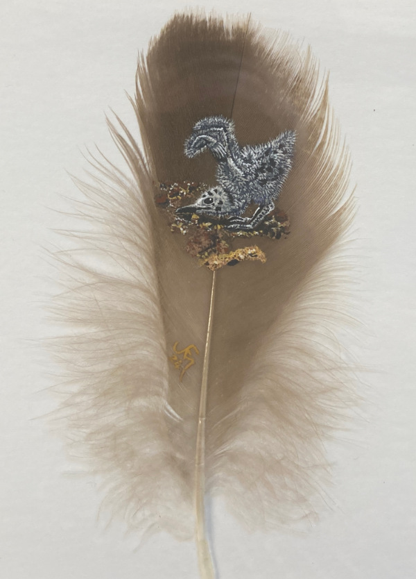 And Stretch, Herring Gull Chick