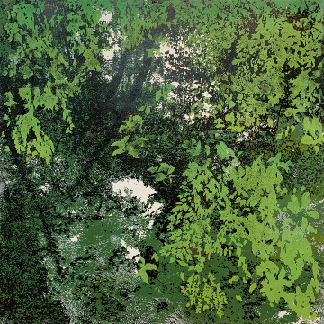 Reflections in Green