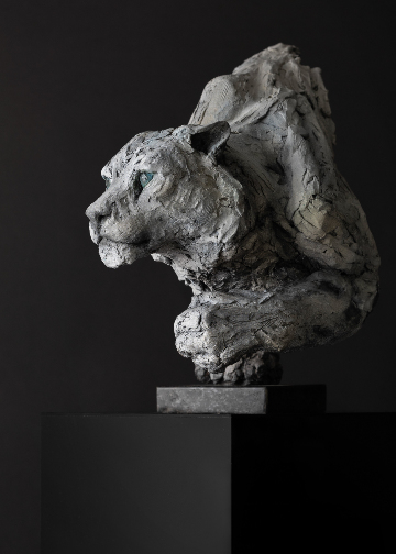 Quiet Force of Nature - Stalker 