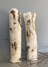 Silver Birch Vessel