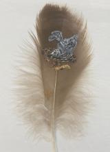 And Stretch, Herring Gull Chick