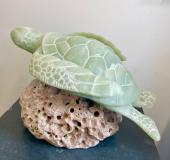Green Sea Turtle