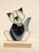 Black and White Cat