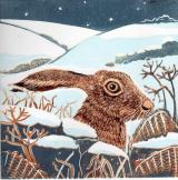 Hare in Snow