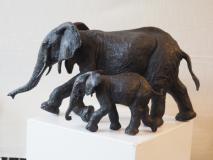 Elephant and Calf