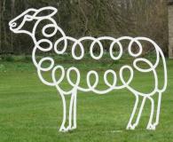 Sheep with Raised Head 