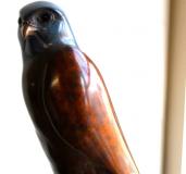Windhover