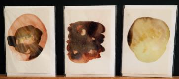 Greeting Cards - Wild Colour