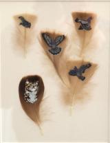 Cat Amongst The Pigeons