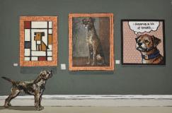 A Border Terrier at an Art Exhibiton