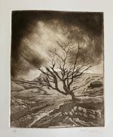 Strom over Dartmoor