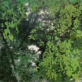 Reflections in Green