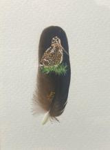 Crepuscular Woodcock