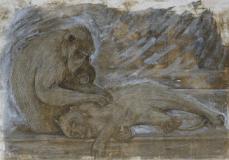 Bliss in the Monkey Forest 