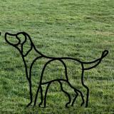 Labrador
