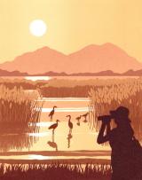 Gone Birding 