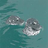 Two Seals