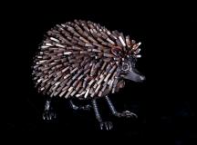 Hedgehog
