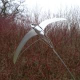 Swift on Arc