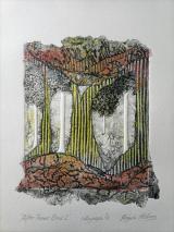 After Yarner Wood 2