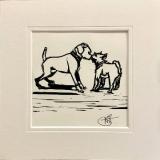 Boxer Meets Schnautzer