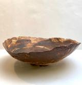 Paths and Wonderings Bowl