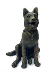 Finn - German Shepherd