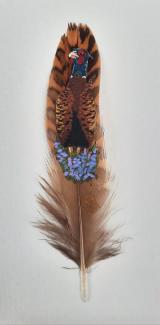 Resplendant in Bluebells