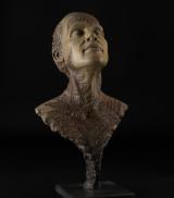 Waiting for the Midnight Fern