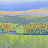 Bright Light on the Moor