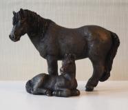 Pony and Foal