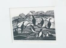 Guillemot Rock