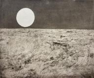 Moonrise 