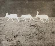 Steppe Change