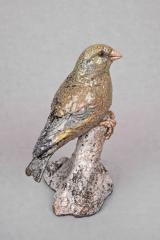 Greenfinch