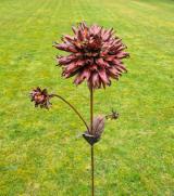 Dahlia Semi Cactus Fimbriated