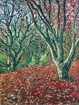 Killerton Autumn