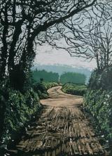 Walking Down the Lanes In Winter 